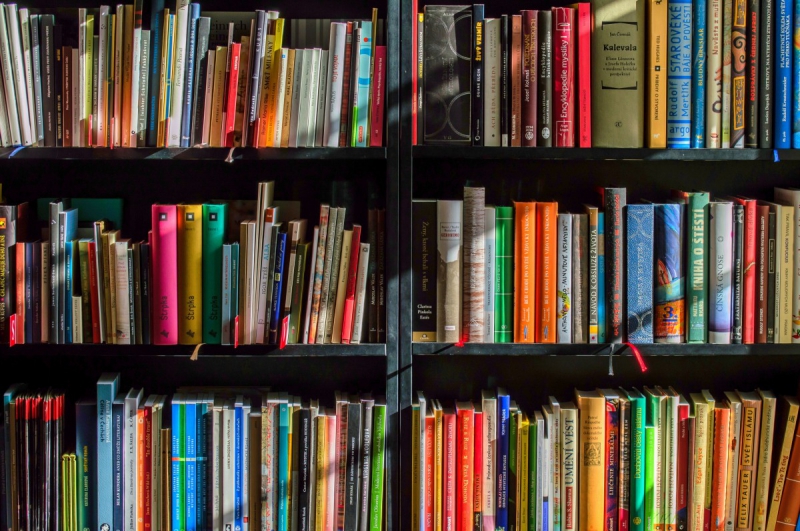 magasin-LE CANNET DES MAURES-min_books_bookstore_book_reading_shop_writer_sale_books_read-822866